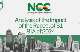Analysis of SI 34 of 2025